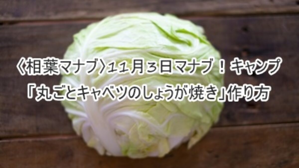 相葉マナブ 11月3日マナブ キャンプ 丸ごとキャベツのしょうが焼き 作り方 凛とした暮らし 凛々と