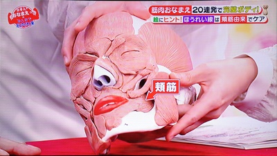 日本人のおなまえっ みんなで筋肉体操 筋肉のおなまえsp 年1月2日放送内容のまとめ 凛とした暮らし 凛々と 日本人のおなまえっ みんなで筋肉体操 筋肉のおなまえsp 年1月2日放送内容のまとめ 凛とした暮らし 凛々と