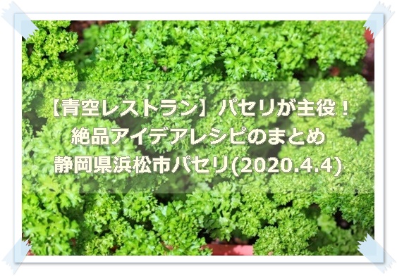 青空レストラン パセリが主役 絶品アイデアレシピのまとめ 静岡県浜松市パセリ 4 4 凛とした暮らし 凛々と