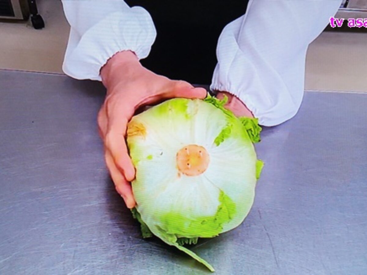 家政夫のミタゾノ 特別編 ミタゾノ直伝 レタス 爪楊枝 長持ちさせるテク 家事テク 5 29 凛とした暮らし 凛々と