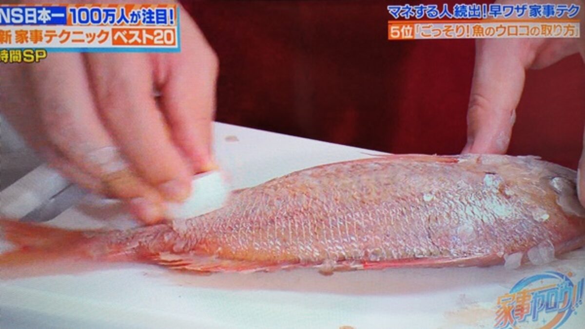 家事ヤロウ 魚のウロコの取り方 3時間sp 家事 料理 ベスト 8 4 凛とした暮らし 凛々と