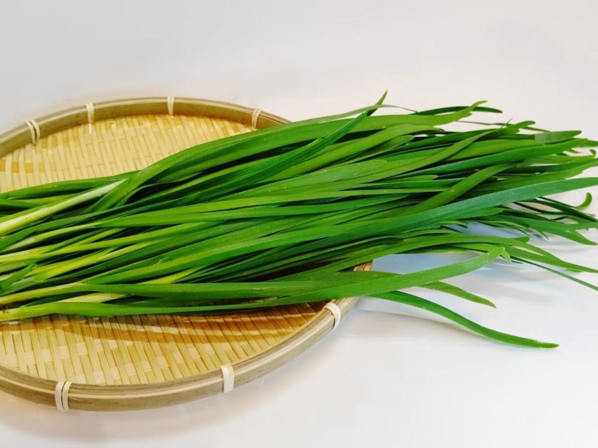 林修の今でしょ講座 ニラレシピまとめ 生産者が教える野菜の美味しい食べ方sp 凛とした暮らし 凛々と